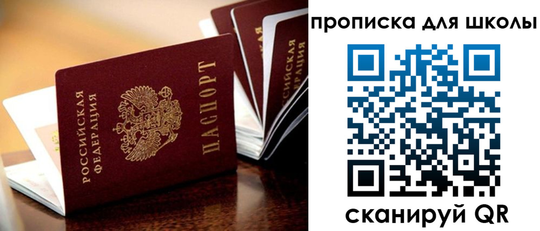 прописка законно в Краснодаре